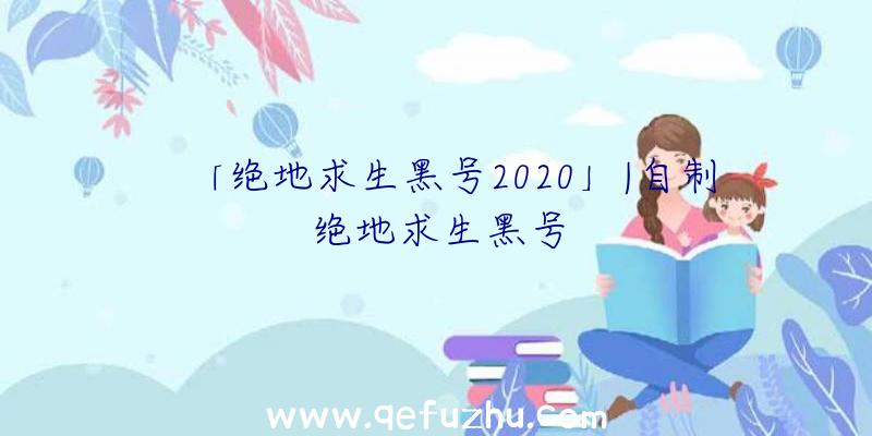 「绝地求生黑号2020」|自制绝地求生黑号